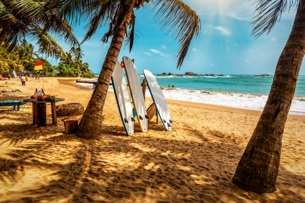 Pearl Island Bliss  6 Days in Sri Lanka
